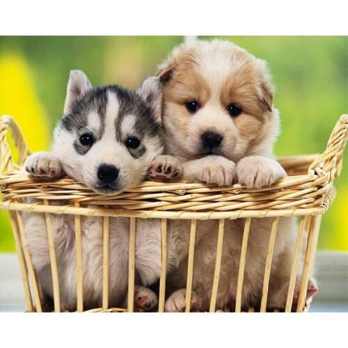 Diamond Painting Dog Full Square Drill 5D DIY Diamond Embroidery Animals Mosaic Sale Rhinestone Art Home Decor