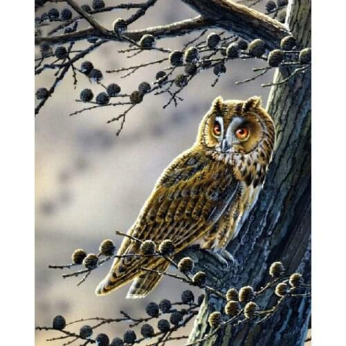 MHD 2020 New diy diamond embroidery animals Owl pictures of mosaic 3d round crystal diamond painting scenery decoration home