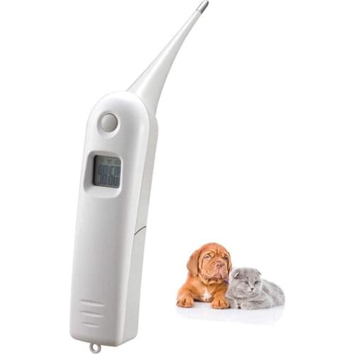 / Thermometers For Water