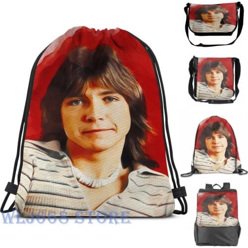 Funny graphic print shoulder Bags women David Cassidy, Hollywood Star (4) Single shoulder backpack travel for men Gym Bag