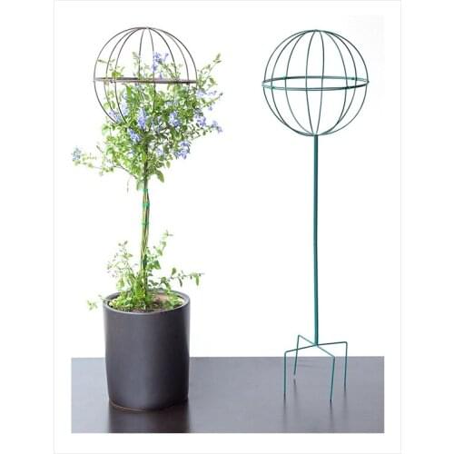 Lollipop Flower Stand Climbing Stand Rose Blue Snowflake Windmill Jasmine Clematis Iron Art Spherical Gardening Climbing Bracket