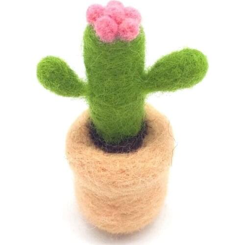 Succulent Needle Felting Kits with 3 Felting Needles, English Manual, Enough Wool, Suitable for Beginners (E)