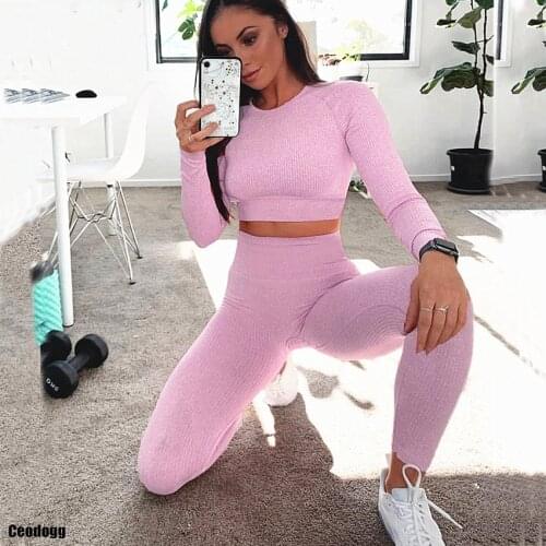 Thick 2Pcs Women Seamless Yoga Set Sportswear Long Sleeve Crop Tops Squat Proof Yoga Pant Leggings Female Gym Outfit Suits