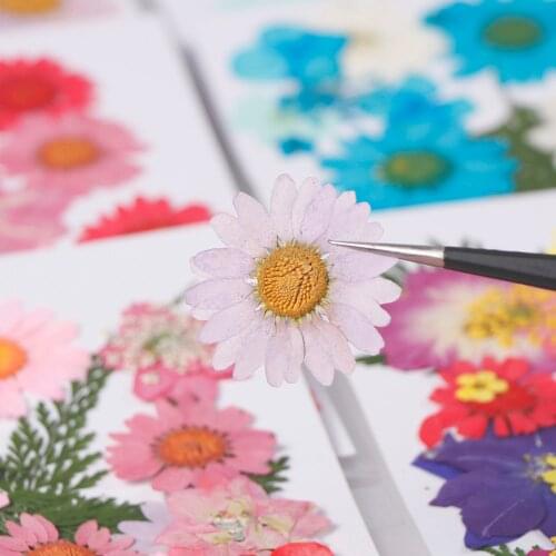 1 Bag Mix Real Nail Dried Flowers Leaf Nail Art Decor Small Dyeing Flowers Nail Stickers For DIY Nail Tips Tools