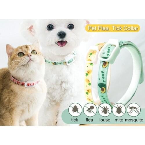 Adjustable Pet Dog Antiparasitic Collar Cat Anti Strangling Flea and Tick Collar Necklaces Lead Supplies for Dogs Cats Chihuahua