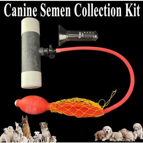 1SET Canine Artificial Insemination Kit Pet Male Dog Sperm Collect Device Semen Collection Glass 20ML Bottle Scale Clinic