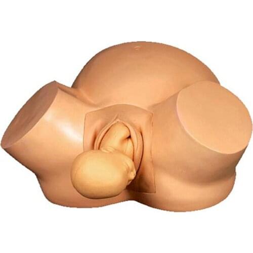 Vacuum Delivery Simulator Midwifery Training Model For Birth Demonstration Medical Care