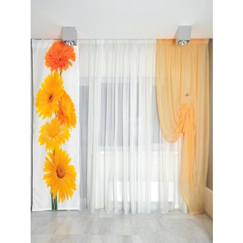 MyShtora Tulle On The Windows