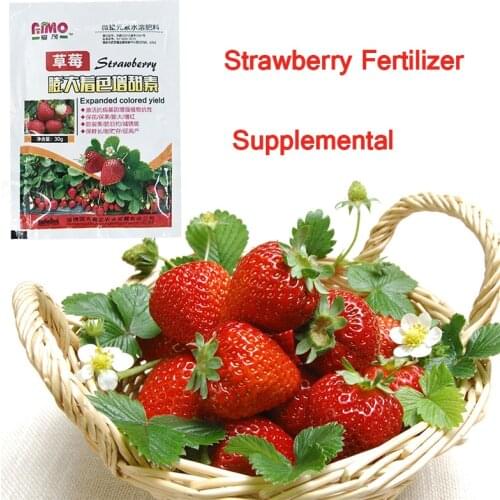 Strawberry Fertilizer Supplemental Plant Nutrition Hydroponics Garden Sweetener Expanded Fruit Rapid Rooting Plant Grow Roots