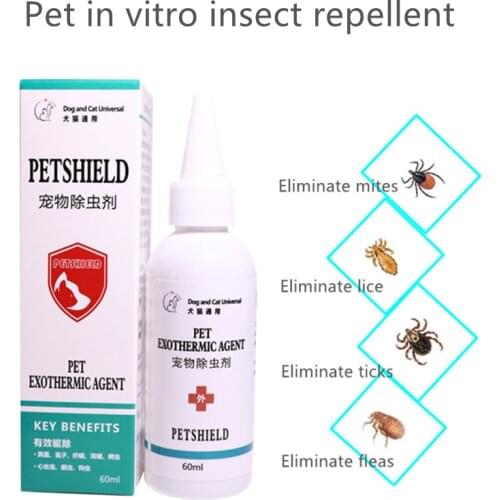60ml pet dog and cat insecticide spray anti-flea drop insecticide anti-flea lice insecticide