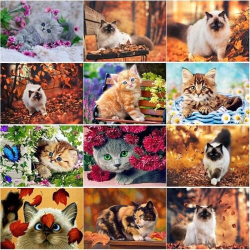 5D DIY Diamond Painting Cute Cat Diamond Embroidery Animal Cross Stitch Full Square Round Drill Manual Crafts Home Decor Gift
