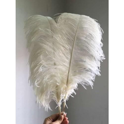 Asia Ra Beige Dyed Thick Rod Ostrich Feathers 50-55CM 20-22" Long Natural Ostrich Wings Decoration Plumas For Party Wedding