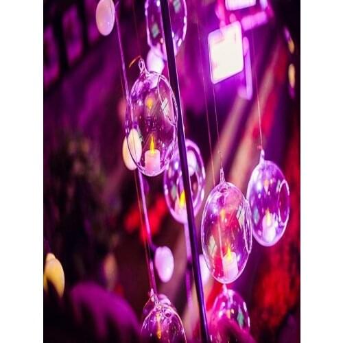 30 PCS Transparent Acrylic Ball Vase Bowl Hanging Mount Flower Plant Candle Container Home Wedding Party Christmas Decoration