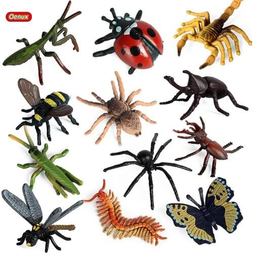 Oenux 12pcs Mini Insect Animals Model Butterfly Spider Bee Mantis Scorpion Action Figures Figurine Miniature Educational Kid Toy