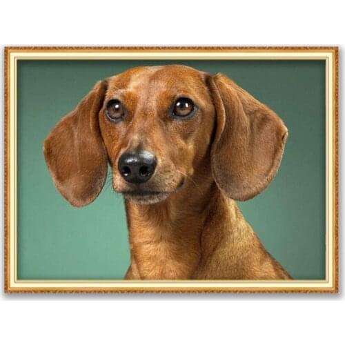 Animal Dachshund DIY Cross Stitch 11CT Embroidery Kits Craft Needlework Set Cotton Thread Printed Canvas Home Decoration Sell