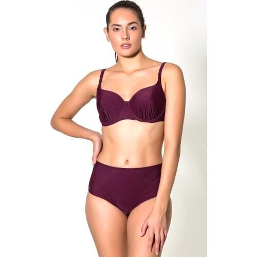 C & City 2910-2 Strapless Lined Bikini Damson