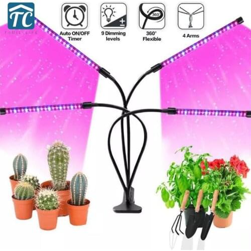 Фитолампы для растений BRIGHTINWD China At AliExpress