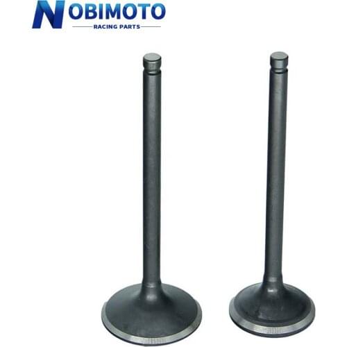 PIT Bike Intake Valve Exhaust Valves fit for Zongshen 250cc CB250cc ATV Go Kart, Moped & Scooter 2GT-179