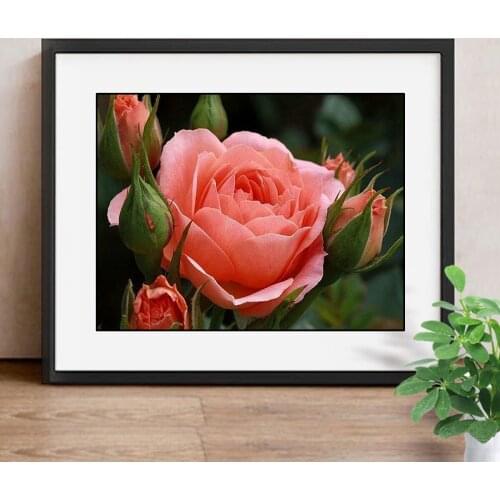 Diamond Mosaic Flower Full Square Drill Diamond Embroidery Painting Cross Stitch Home Decor Rose Picture Of Rhinestone