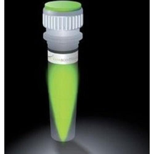 One-dimensional hydrated nickel oxalate fiber