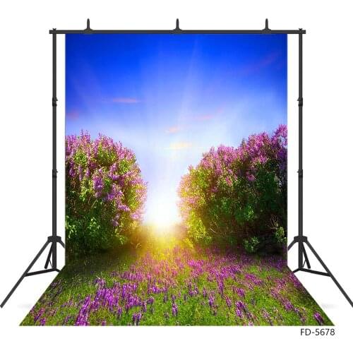 Lavender Field Sunshine Photography Background Customized Fond Backdrop Photo Studio for Baby Children Portrait Scenic Photocall