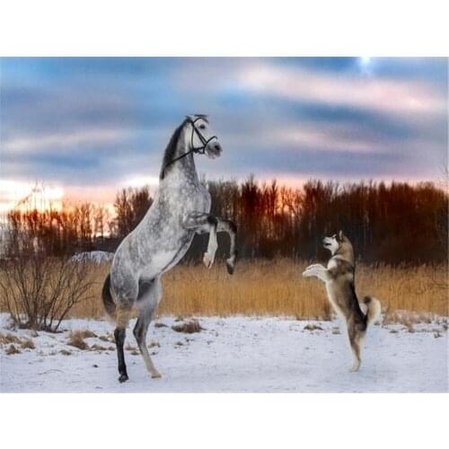 Animal Dog Husky Pre-Printed 11CT Cross-Stitch DIY Embroidery Kit DMC Threads Craft Painting Handmade Sewing Stamped Jewelry