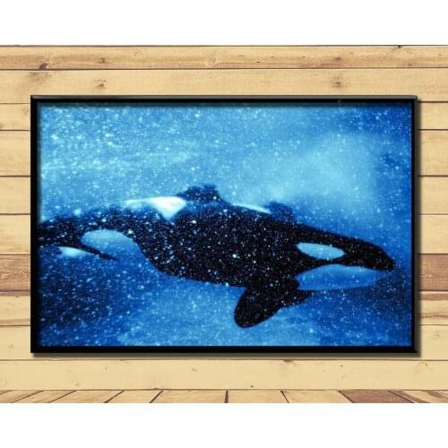 Orca Ferocious Marine Animal (5) Wall Posters Prints Silk Art Painting For Home Wall Bedroom Decor