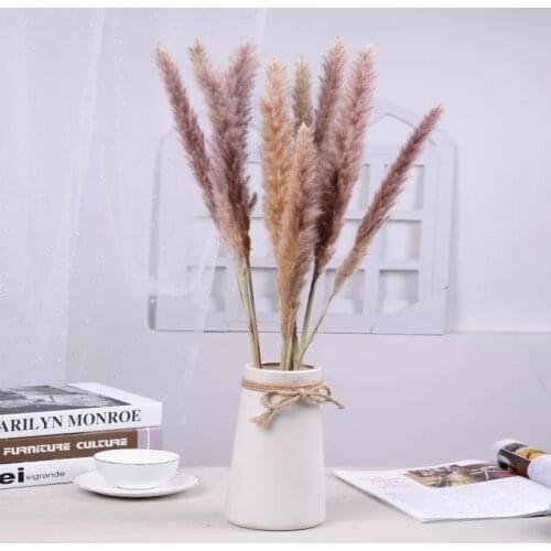 10pcs Pampas Grass Small Reed Dried Flower Home Indie Room Decor Preserved ArtificialPlants DIY Bouqut For Wedding Party Deco