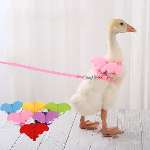 Adjustable Call Duck Harness Leash Rope For Duck Small Animals Training Walking Towing Rope Pet Supplies