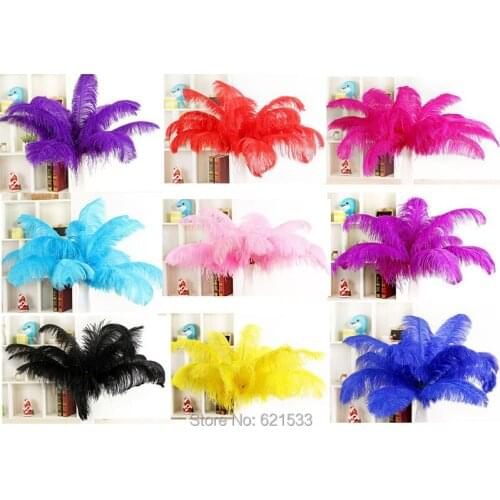 EMS freeshipping!100pcs/lot!22-24inch 55-60CM perfect Ostrich feathers for Wedding,Table Centerpieces,10Colours Available