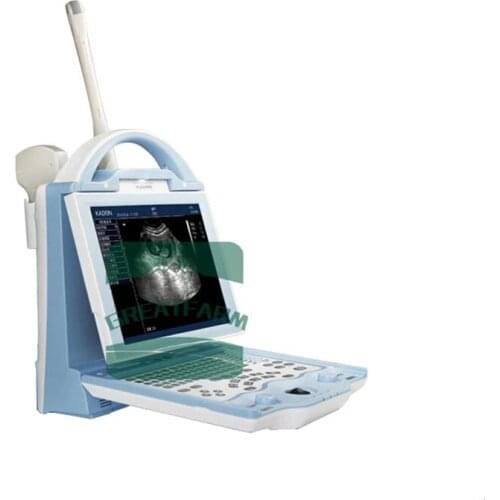 Pet Sonar Scanner Dog Cat Pregnancy Tester Fetus LED Screen Laptop Disease Detection Hospital Testing Machine