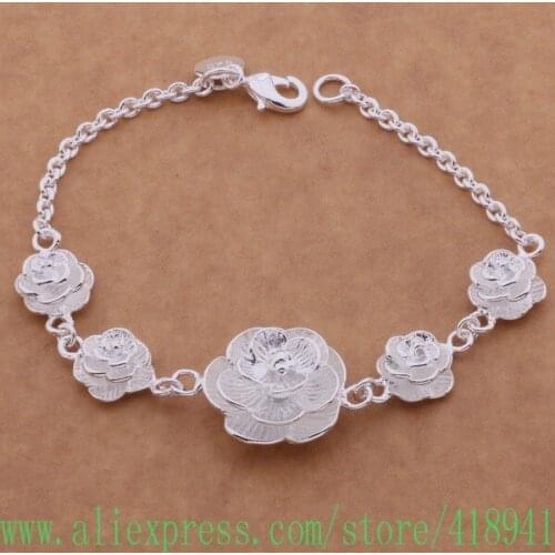 Silver Plated bracelet, Silver Plated fashion jewelry Streaky /dxfamoma ayhajpoa AH030