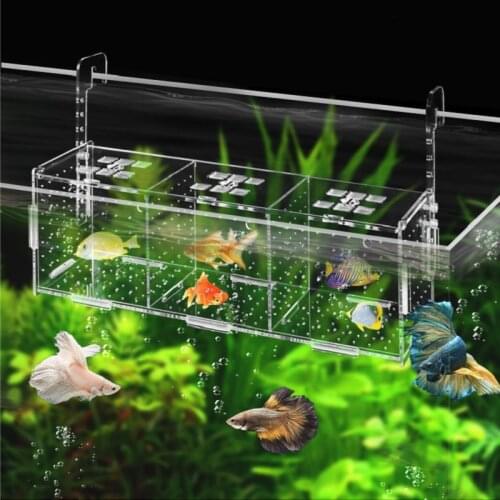 Isolation box Isolation net Acrylic Incubator