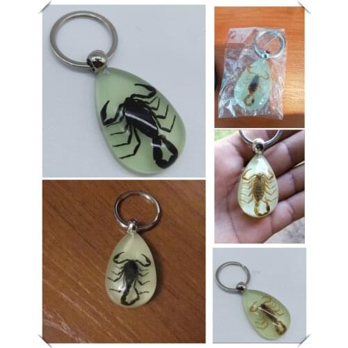 Motorcycle mountain bike insect keychain personality pendant car for Hyundai HND-3 Veloster i10 LPI 30blue R cee d ix