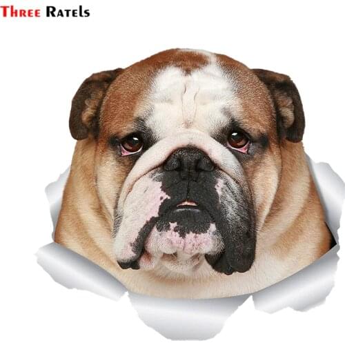 Three Ratels FTC-1067 Funny British English Bulldog 3D Car Sticker Dog Decal for Wall Car Toilet Room Luggage Skateboard Laptop
