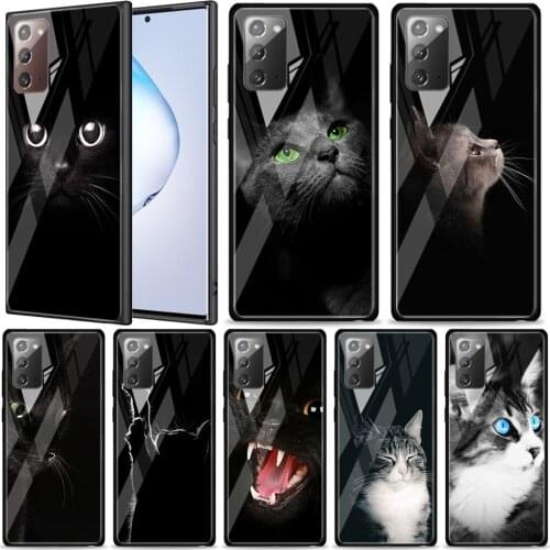 Cute Black Cat Staring Eyes Tempered Glass For Samsung Galaxy Note 20 Ultra 10 9 8 Plus Lite A70 A50 A40 A30 A20 A10 Phone Case