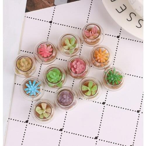 1:12 Dollhouse Miniature Glass Jar Succulent Plants In Pot Furniture Home Decor Micro Landscape Ornaments