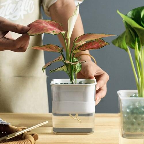 Automatic Suction Flower Pot Visible Soil/Water Culture Plant Basin for Home Garden, Greenhouse, Office