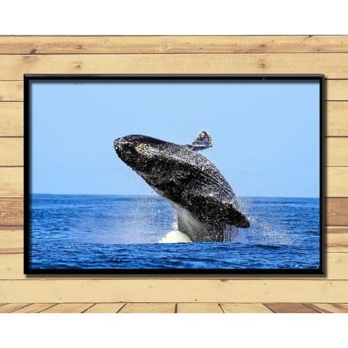 Humpback Whale Ferocious Giant Marine Animal (26) Wall Posters Prints Silk Art Painting For Home Wall Bedroom Decor