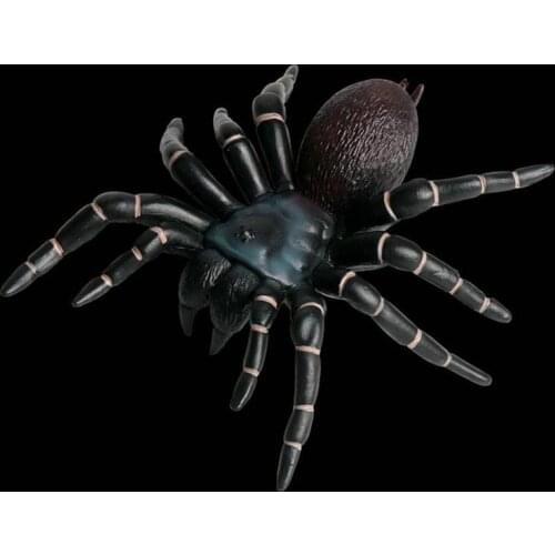 Childrens simulation wild animal insect model Halloween tricky toy spider red spider black spider