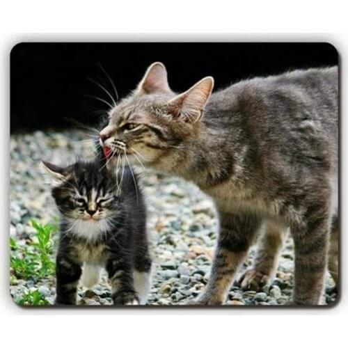 Mouse pad,cat Kitten Stones Gravel,Game Office Mousepad