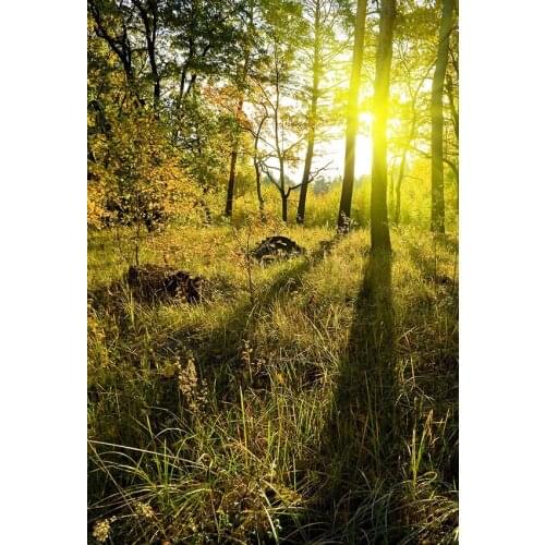 Wild Grassland photo backgrounds vinyl fotografia student photography backdrop for photo studio props scenic photophone lv-2165