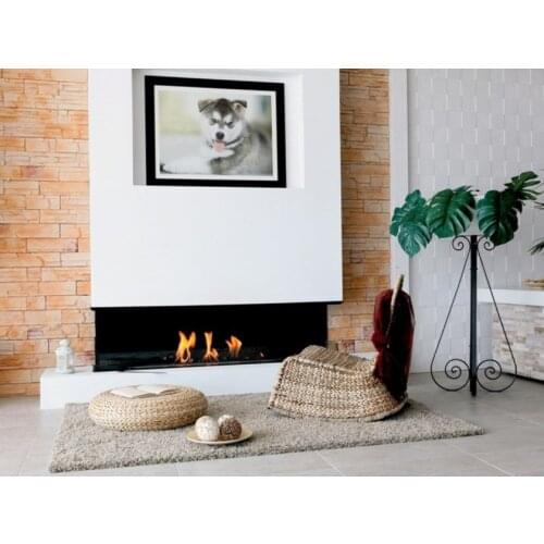 Inno-Fire 30 inch silver or black remote control fire place ecological fireplace burner