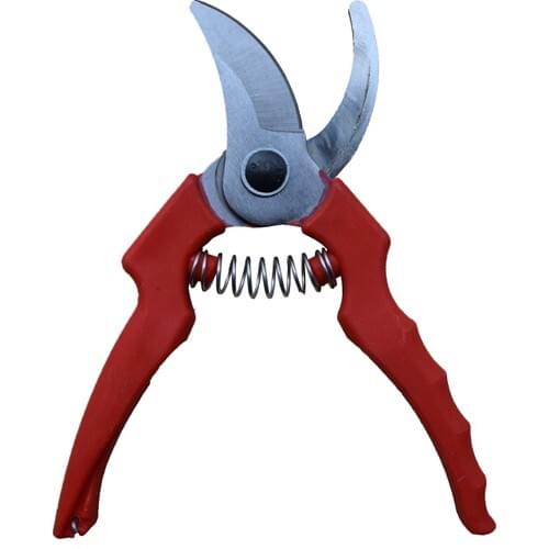 Lion Bond Pruning Shears