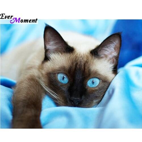Diy animal diamond painting cross stitch kits diamond embroidery cat full square diamonds mosaic pictures of rhinestones ASF334