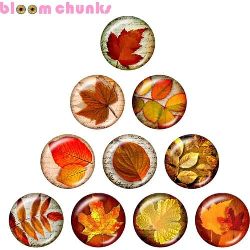 Thanksgiving Maple leaf 10pcs mixed 12mm/18mm/20mm/25mm Round photo glass cabochon jewelry flat back Making findings S1886
