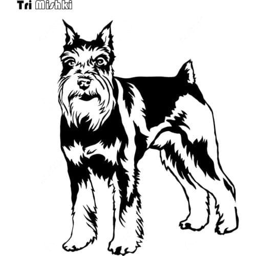Tri Mishki HZX545 12x16cm Schnauzer Dog funny car sticker funny colorful car stickers auto automobile decals
