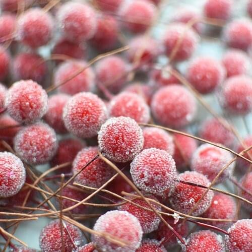 20pcs Mini Fake Plastic Fruit Artificial Flowers Frost Glass Berries Stamen Cherry DIY Bouquet for Party Christmas Decoration