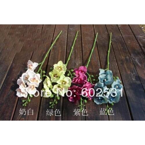 HOT WEDDING FLOWER vine single SPRING orchid flowers European top-grade butterfly orchid (20/lot),4color available FREE SHIPPING