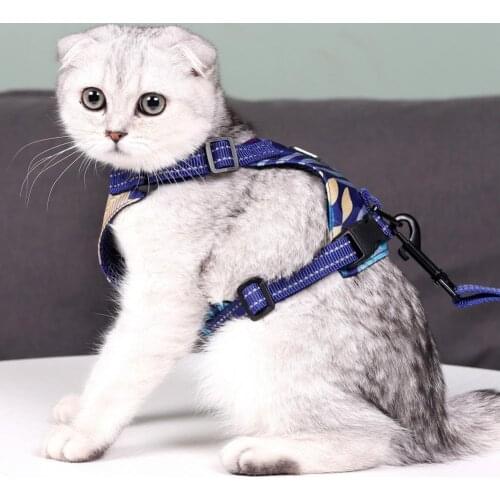 1 Set Pet Harness Fastener Tape Closure Anti-Escape Polyester Cats Chest Strap Traction Rope Kit Pet Supplies Pet Training